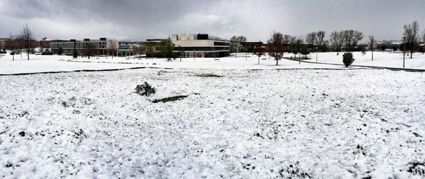 nevada2014_parque_central