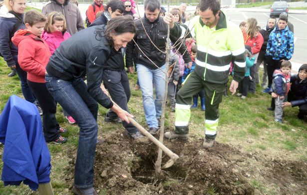 semana_medioambiental_arbol_2016