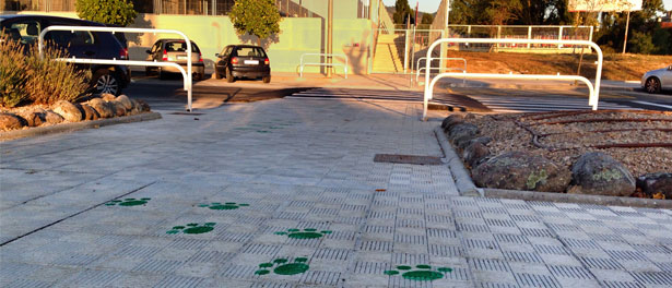 ruta_escolar_segura_camino