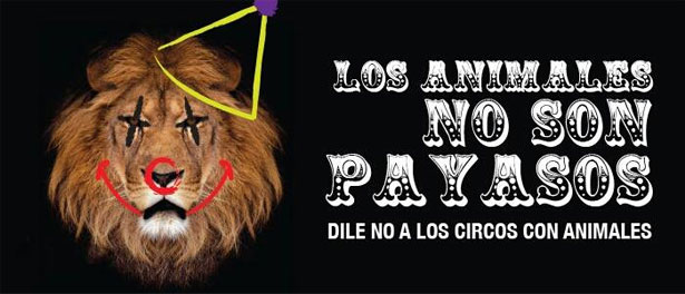 animales_no_payasos