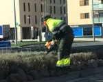 Continúan los trabajos de jardinería en la avenida Reino de Navarra de Sarriguren