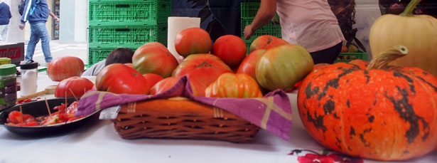 III_feria_tomate_sarriguren_cata