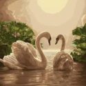 Unidos cumpliendo sueños y logros.Tarot De Los Cisnes.